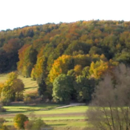 Gasthof Zum Lamm Hotel